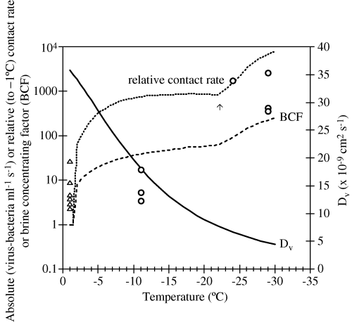nf1 sea ice diffusivity, wells and deming 2006